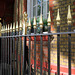 IMG 2739-001-Gold Tipped Fence