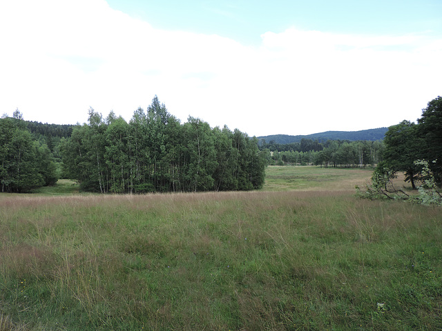 Wanderung im Naturschutzgebiet