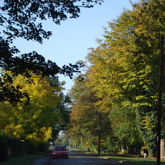 Cow Lane, Fulbourn 2011-10-28 002