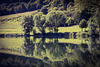 Silence