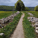 Petit chemin menant aux Rousses Jura