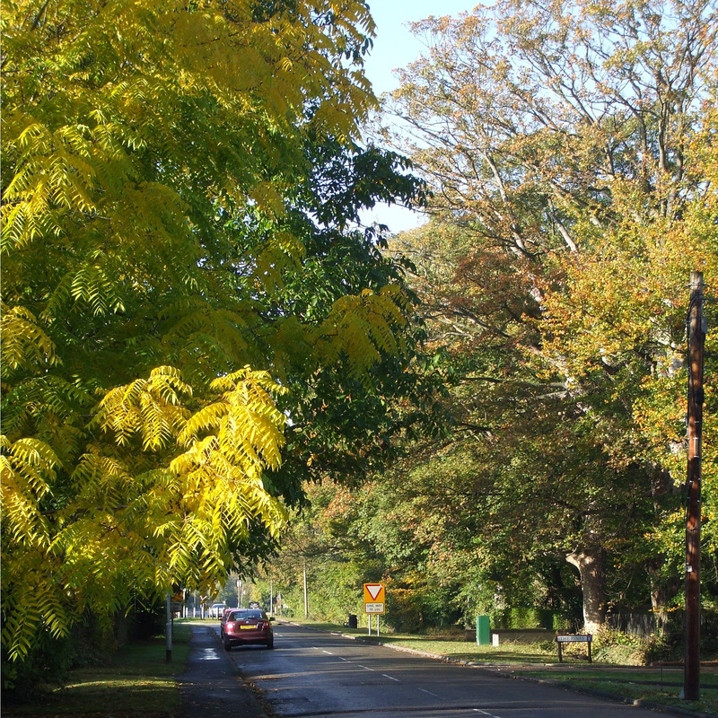 Cow Lane, Fulbourn 2011-10-28 001.JPG