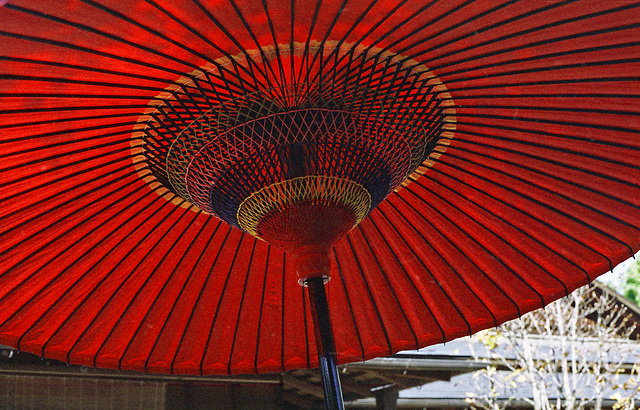 Paper parasol