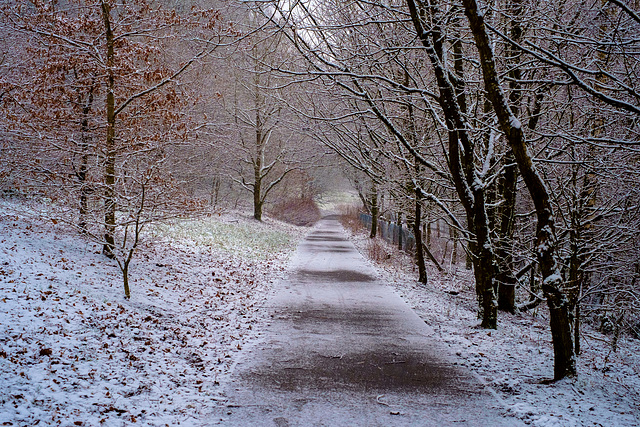 A Gentle fall of snow