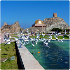 Oman : Mutrah una splendida passeggiata nel golfo