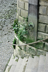 Steps to the river...with cow parsley...