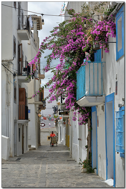 The colours of Ibiza