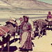Qashqai women and children of Fars, Iran, 1977