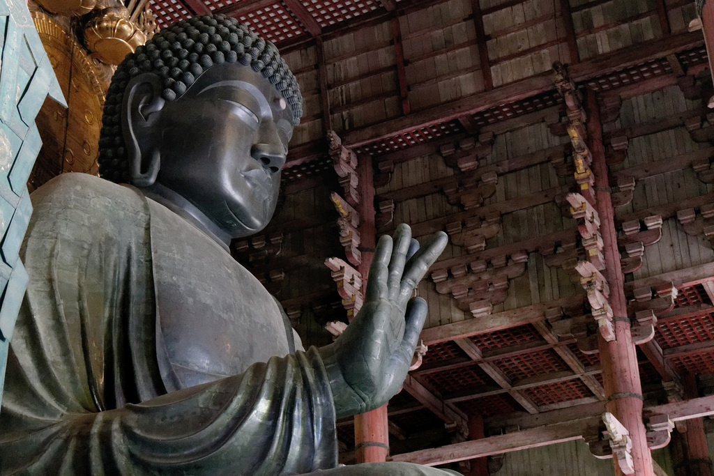 Temple Daibutsu-den (大仏殿) (4)