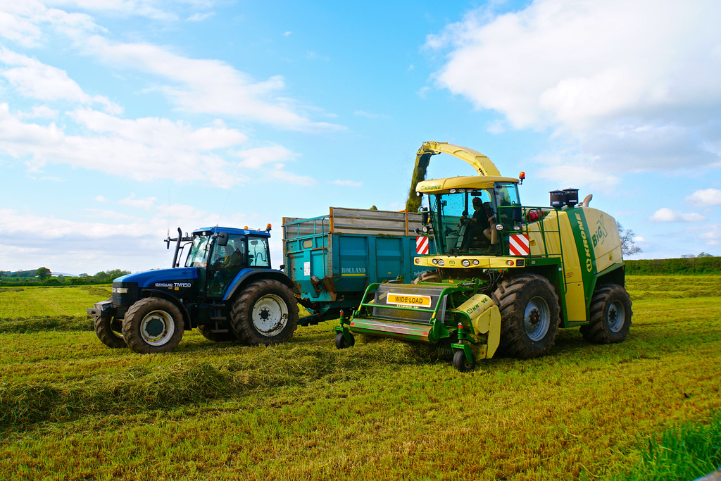 Getting the silage in