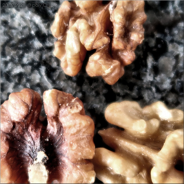 nuts nuts