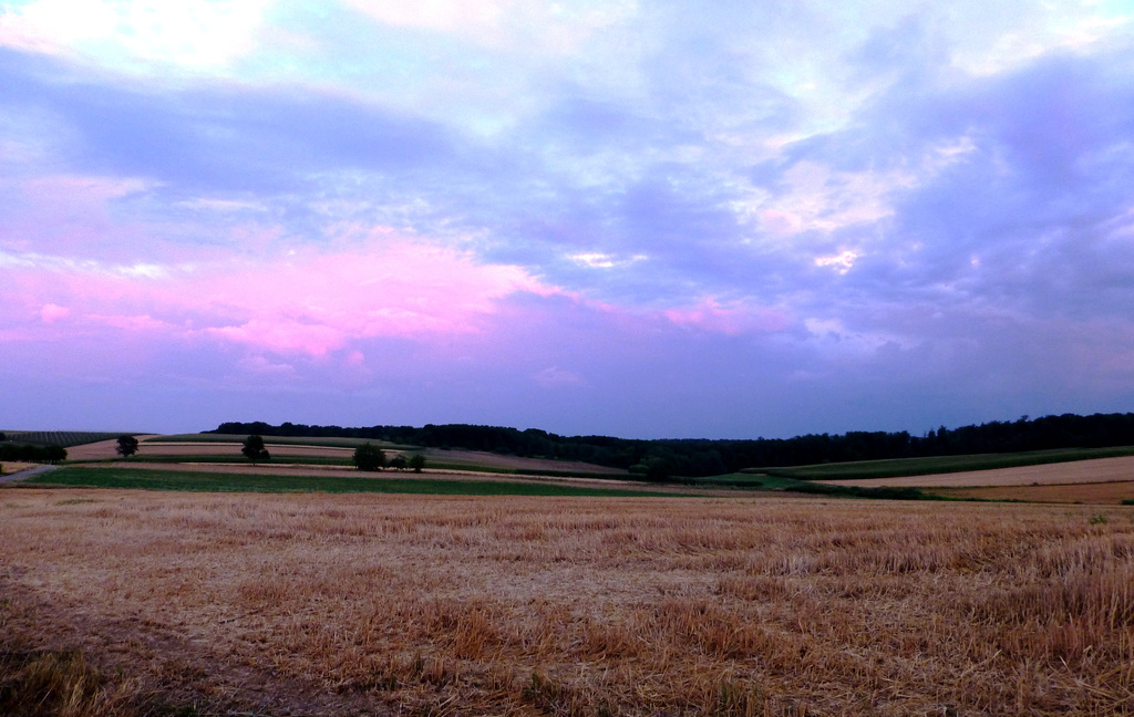 FR - Cleebourg - Abendspaziergang