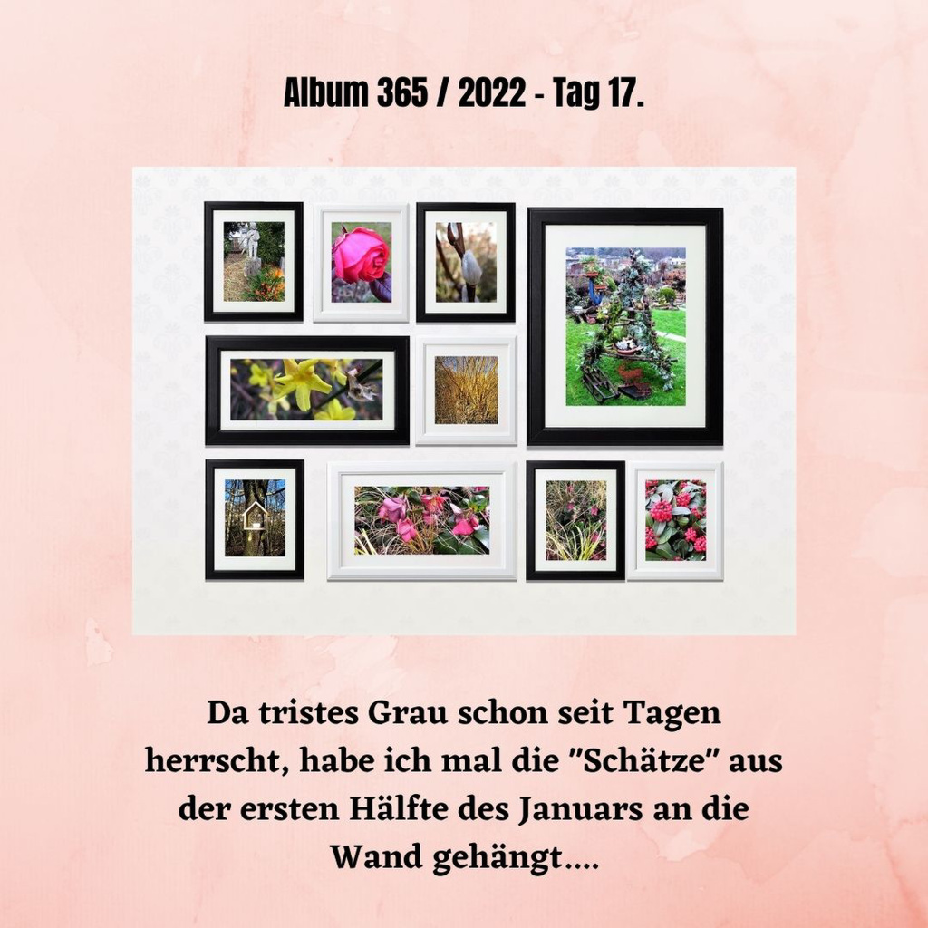Album 365 / 2022 - Tag 17.