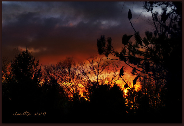 Another sunset in the park