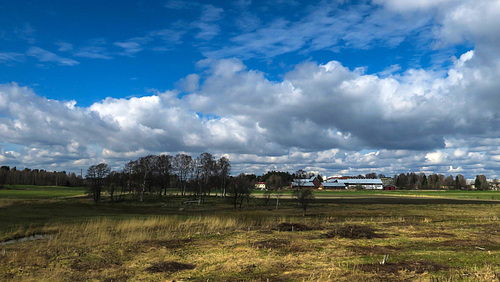 rural landscape