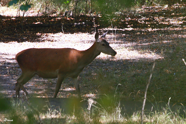 La Biche