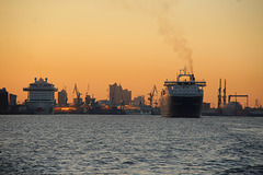 Morgens auf der Elbe