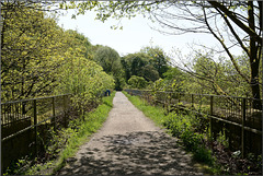 HFF –  On and over the viaduct