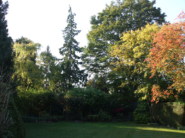 Fulbourn garden 2011-10-28 001