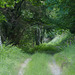 20190622 Rando solo St André de Valborgne (Cevennes) (156)