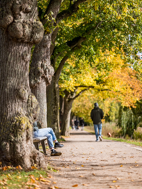 Autumn vibes