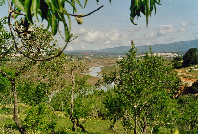 Looking upstream towards  Mexilhoeira and Figueira from near Igreja Matriz de Alvor (Scan from 1999)