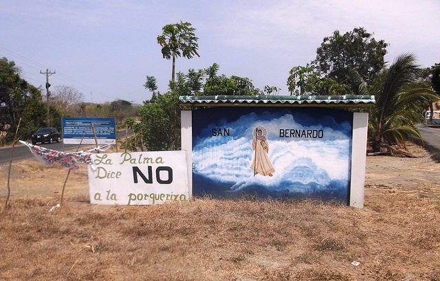 No a la porqueriza