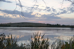 sunrise over Douglas Park