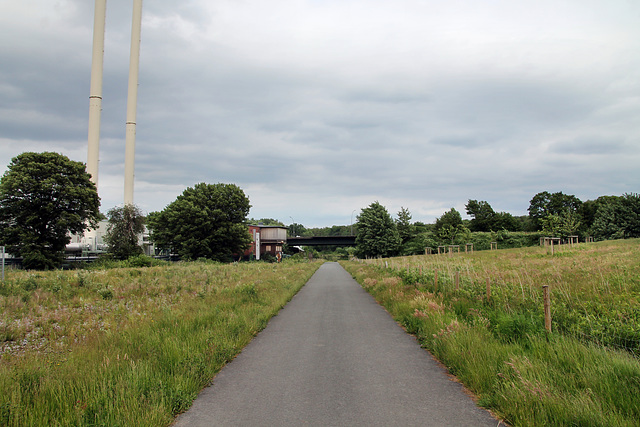 Weg auf der einstigen RBH-Zechenbahntrasse (Gelsenkirchen-Hassel) / 26.05.2022