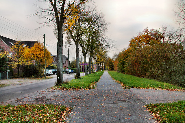 Steinstraße (Voerde) / 19.11.2022