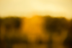 KR609572©IngoKrehl