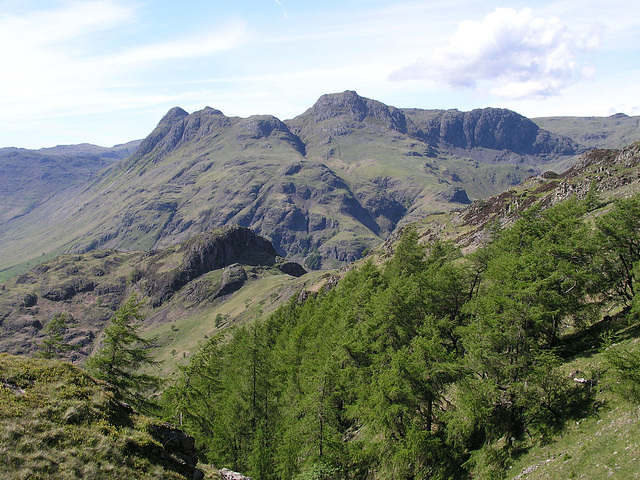 Langdale Pikes from Lingmoor Fell