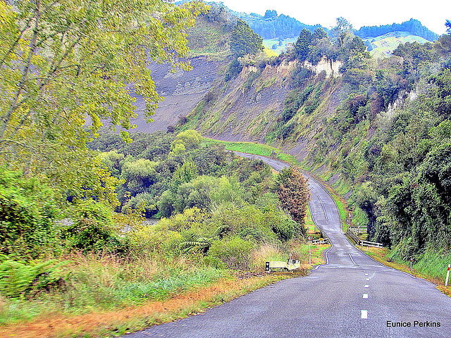 Downhill Run