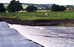 Wier on the River Dove near Hurst Farm (Scan from July 1997)