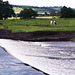 Wier on the River Dove near Hurst Farm (Scan from July 1997)