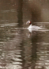 Pêche réussie