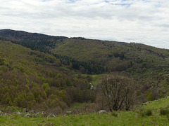 20240503 -05 Lavogne Blandas - Ruines Malpertus - Puech Sigal (58)