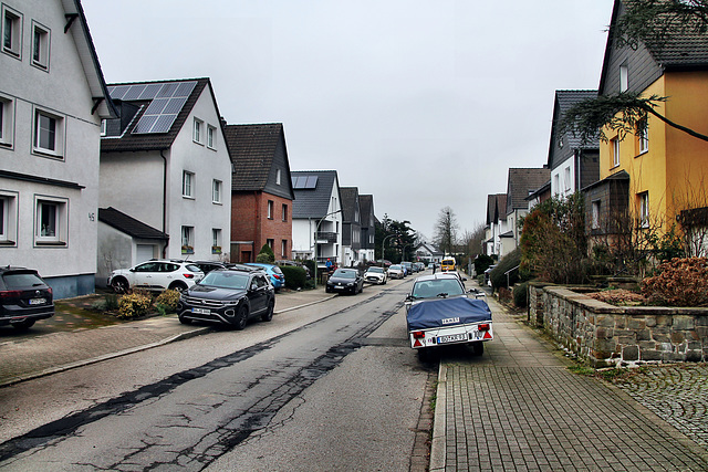 Holzstraße (Wattenscheid-Eppendorf) / 17.02.2024