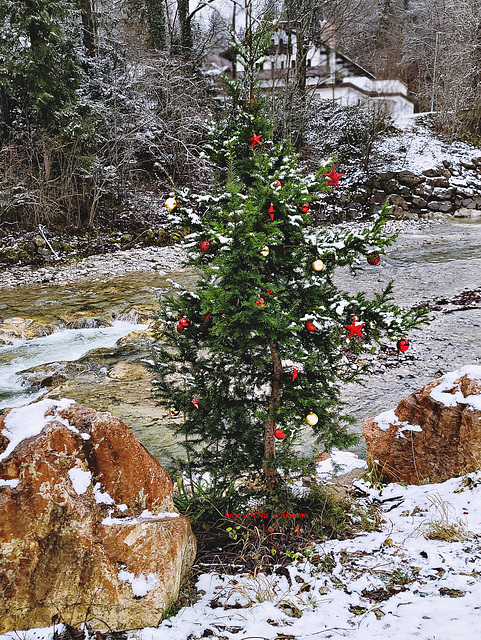 FROHE WEIHNACHTEN