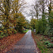 Radweg auf der ehem. Springorum-Bahn (Bochum-Wiemelhausen) / 2.11.2024