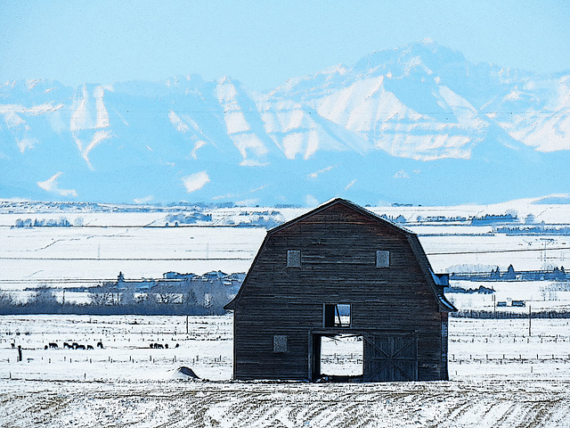 Another see-through barn