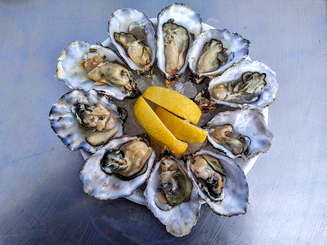 Whitstable oysters
