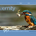 ipernity homepage with #1512