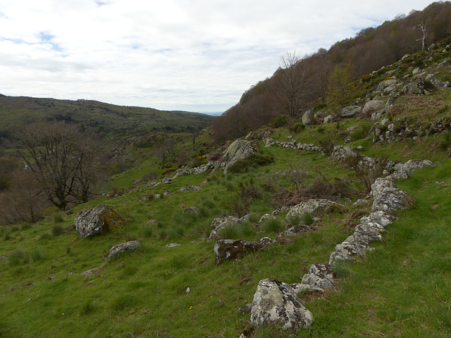 20240503 -05 Lavogne Blandas - Ruines Malpertus - Puech Sigal (60)