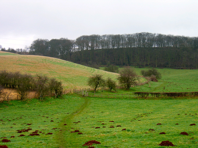 View back to Fairy Glen on the North Worcestershire Path