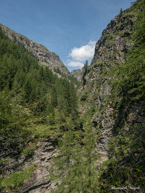 Cardinello Schlucht