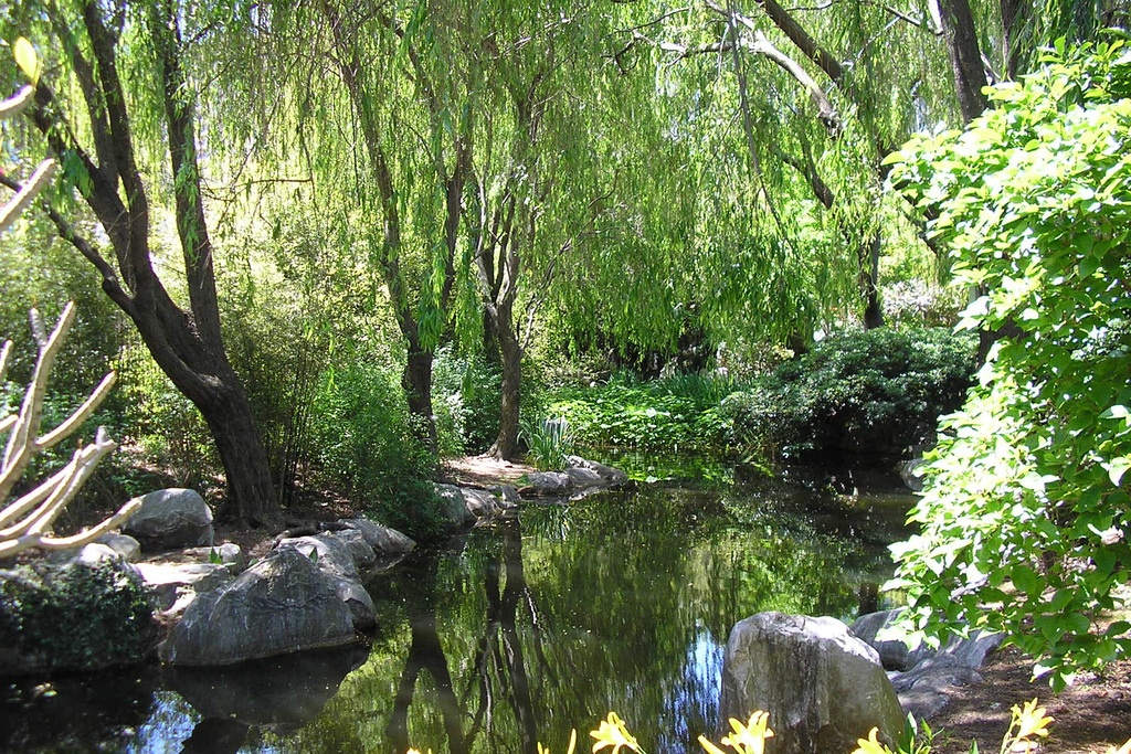 Chinese Garden Of Friendship