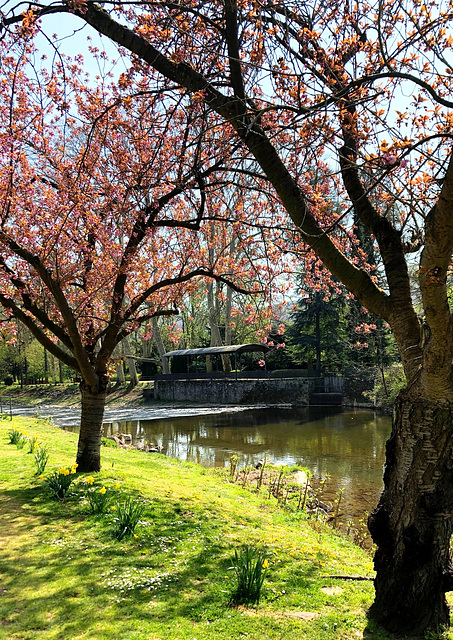 Frühling an der Ahr