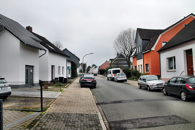 Holzstraße (Wattenscheid-Eppendorf) / 17.02.2024