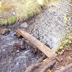 walk the plank-sort of